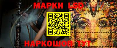 стаф Белореченск
