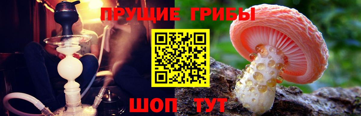Галлюциногенные грибы Magic Shrooms  Псилоцибиновые грибы MAGIC MUSHROOMS  Ахтубинск  Вход с VPN 